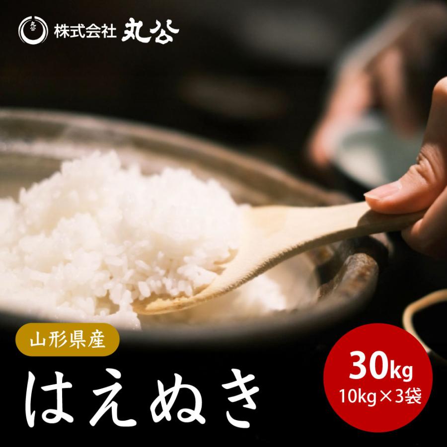 令和7年 山形県産 はえぬき 1等米玄米30キロ 2 はえぬき