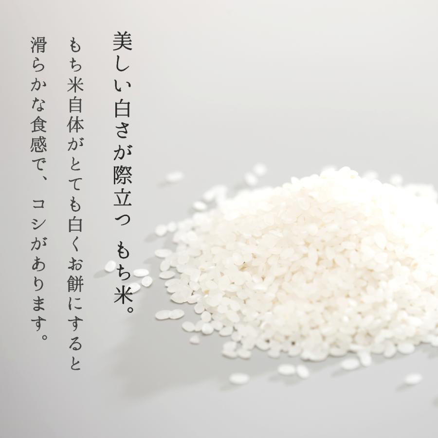 もち米 10kg ヒメノモチ 訳あり 山形県産 白米 玄米 送料無料 新米 令和5年｜ebisumurayama｜03