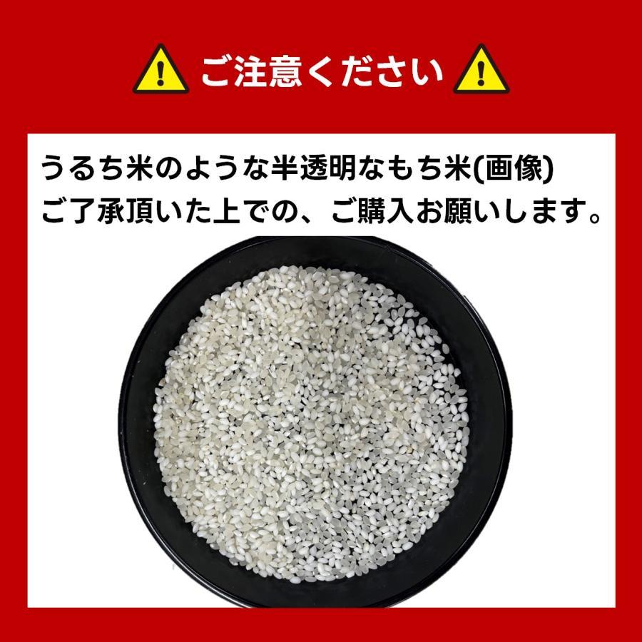 ヒメノモチ 令和7年産 もち米 5kg 山形県産 高級 送料無料 精米無料