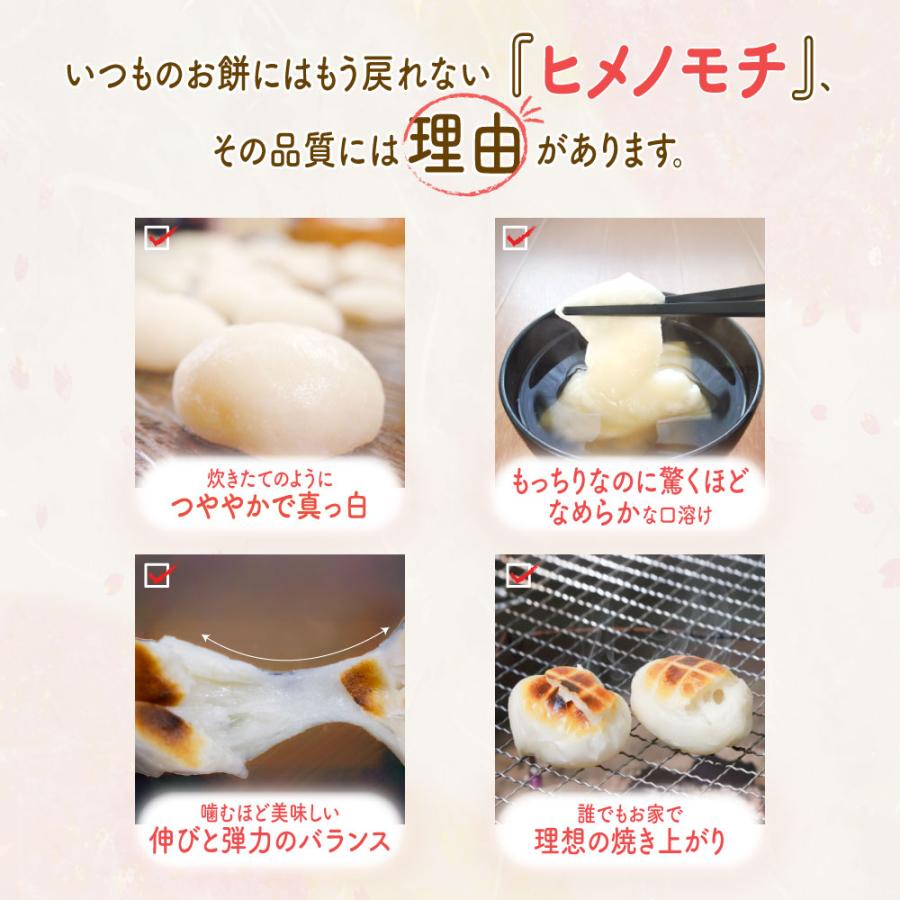ヒメノモチ 令和7年産 もち米 5kg 山形県産 高級 送料無料 精米無料