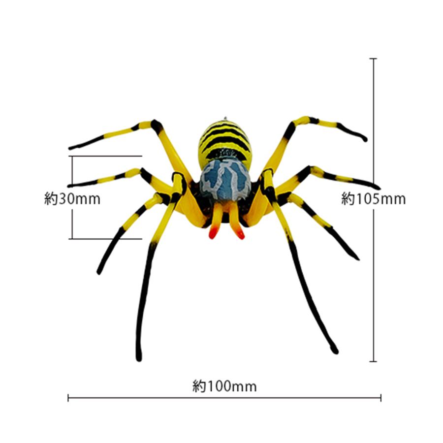 害虫 女郎蜘蛛 除労蜘蛛 M-46 田んぼ 畑 玄関 倉庫 ビニールハウス 吊るす ストラップ 吊り下げ ぶら下げ クモの巣 ガ アブラムシ ブヨ 龍宝丸｜ebisumurayama｜03