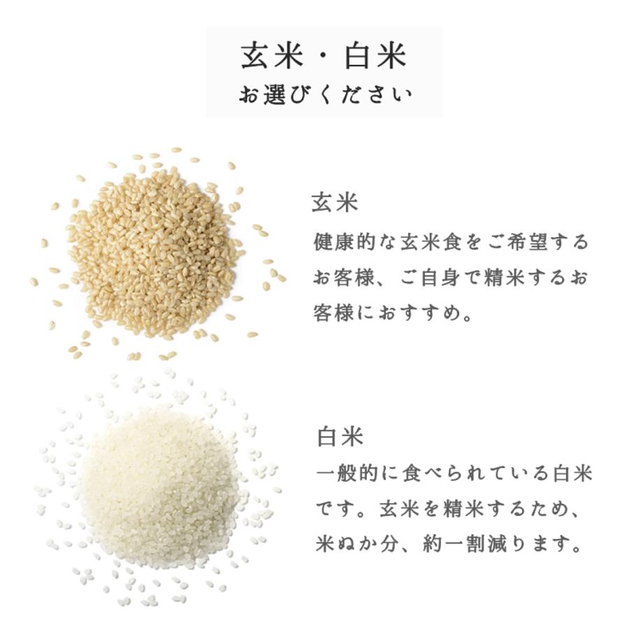 お米 30kg 10kg×3 コシヒカリ 米 白米 玄米 山形県産 送料無料 新米 令和5年｜ebisumurayama｜07