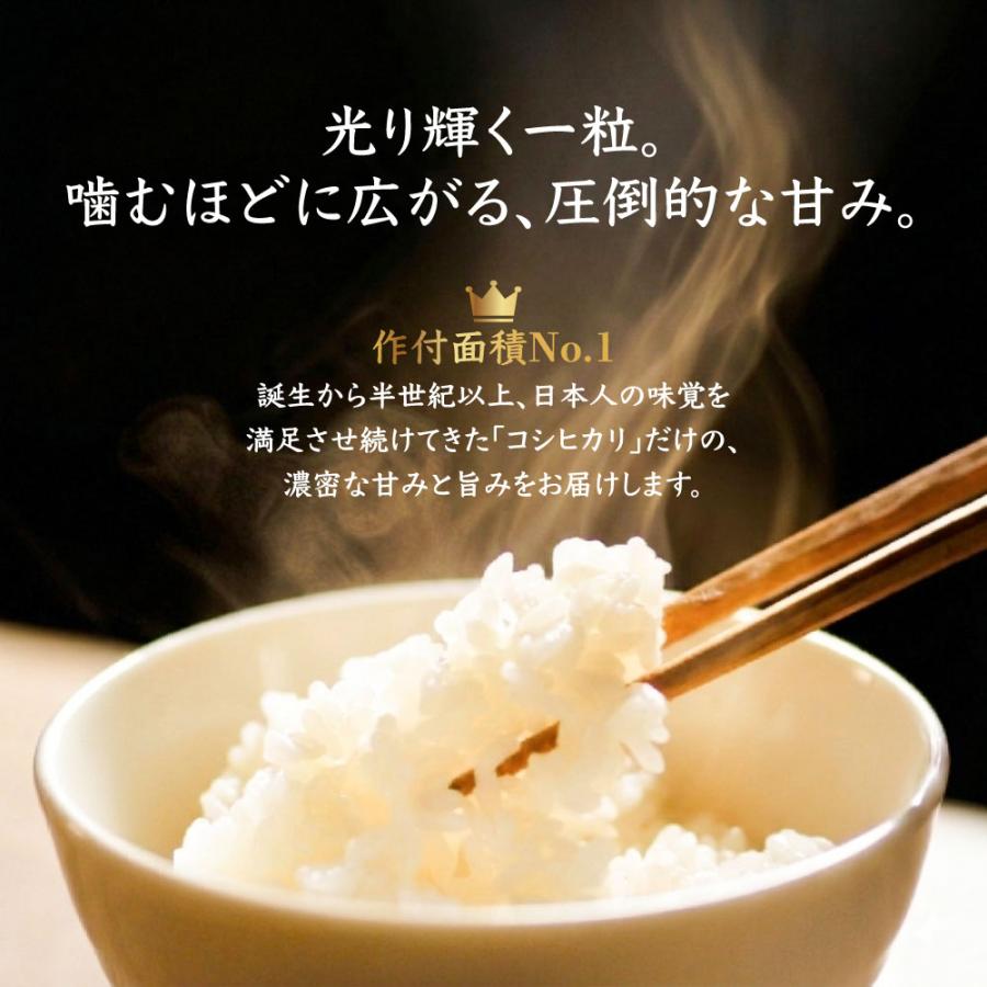 コシヒカリ 令和7年産 お米 30kg 10kg×3袋 米 白米 山形県産 送料無料 