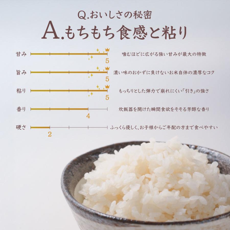 コシヒカリ 令和7年産 お米 30kg 10kg×3袋 米 白米 山形県産 送料無料 