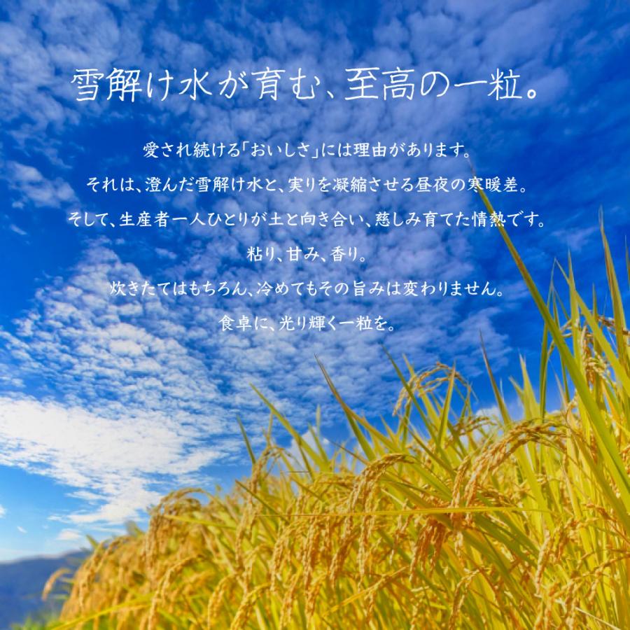 コシヒカリ 令和7年産 お米 30kg 10kg×3袋 米 白米 山形県産 送料無料 