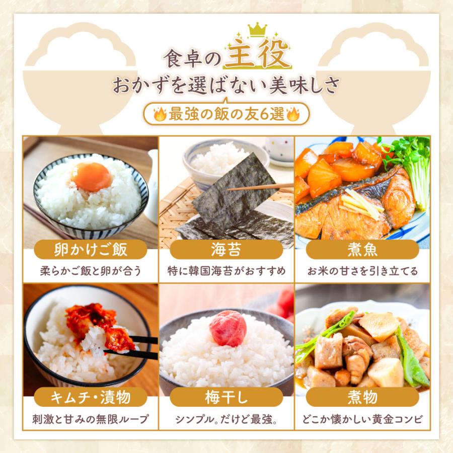 コシヒカリ 令和7年産 お米 30kg 10kg×3袋 米 白米 山形県産 送料無料 