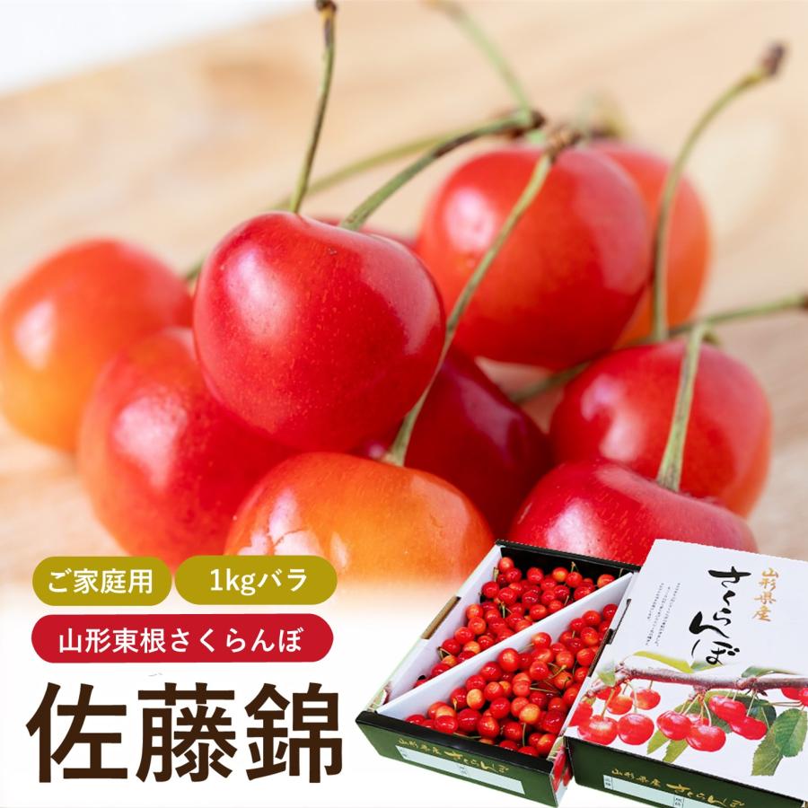 さくらんぼ 佐藤錦 MLサイズ 1kg クール便 山形県産 ご家庭用 バラ詰め 