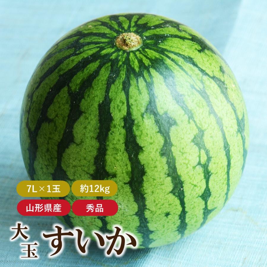 早期予約 22年7月下旬 8月上旬発送予定 令和4年産 秀品 山形県産 スイカ 7l 約12kg 1玉 送料無料 丸公すいか Suika 7l エビスyahoo 店 通販 Yahoo ショッピング