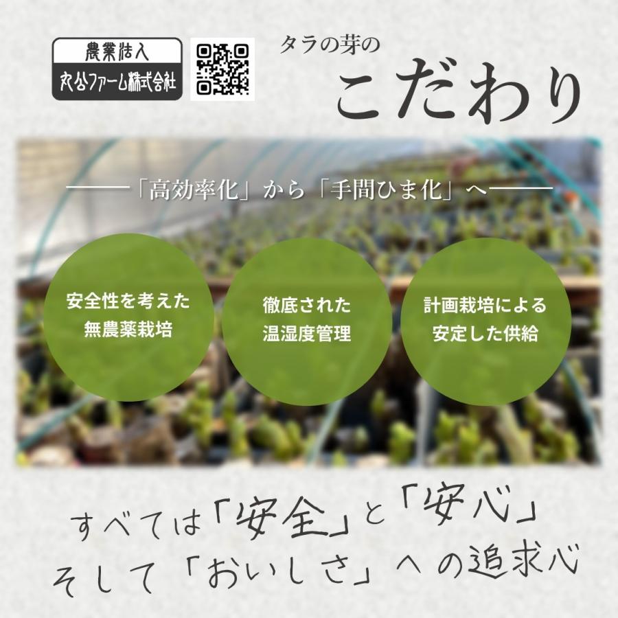 野菜 山菜 栽培キット 室内 送料無料 簡単 ケース付き タラの芽 野菜 山菜 栽培キット 室内 送料無料 簡単 ケース付き タラの芽
