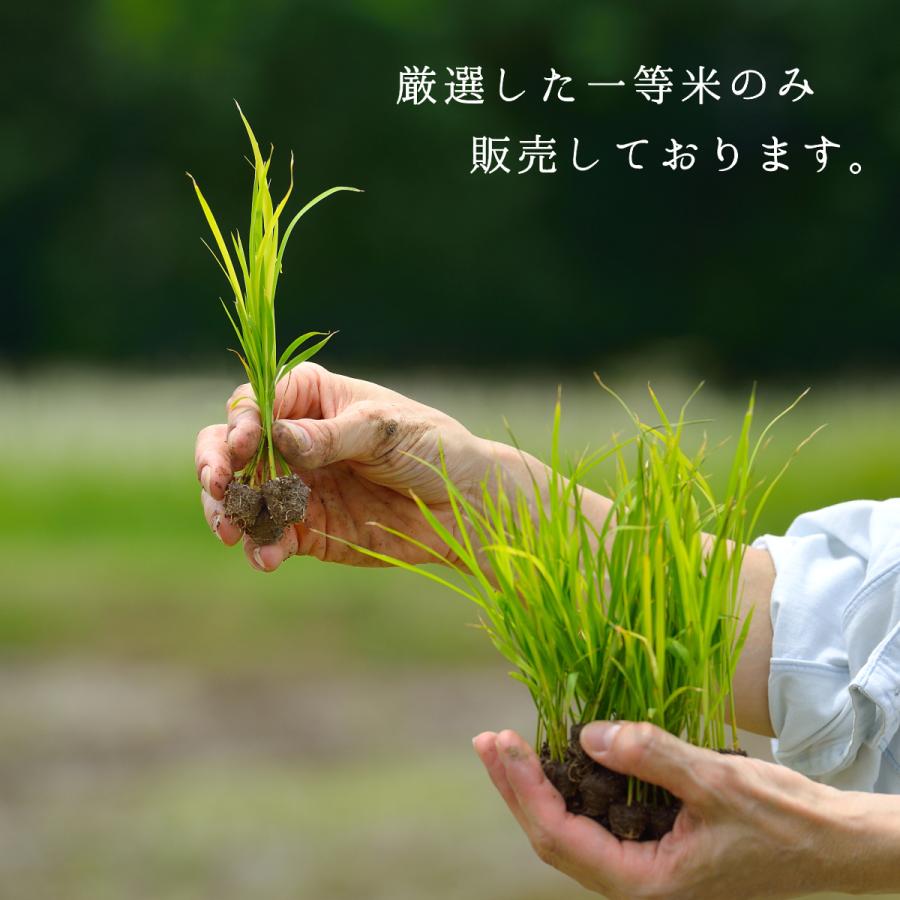 令和6年 山形県産【つや姫】1等 特A  特別栽培米 玄米30kg 令和6年産 新米 つや姫 玄米 30kg 山形県産 特別栽培米 減農薬 減化学