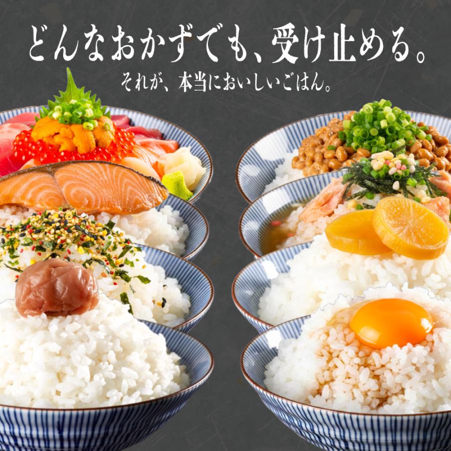 令和7年産 お米 20kg 山形県産 雪若丸 白米 米 送料無料 10kg×2袋 : 丸