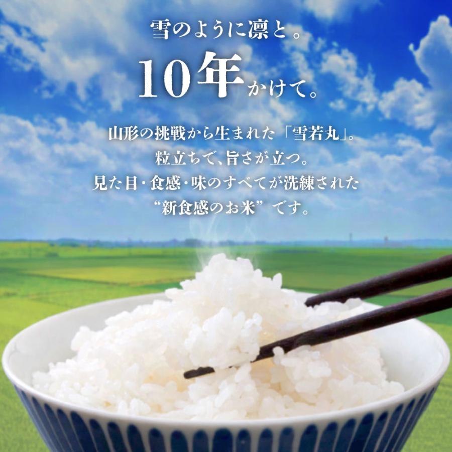 令和7年産 お米 20kg 山形県産 雪若丸 白米 米 送料無料 10kg×2袋 : 丸