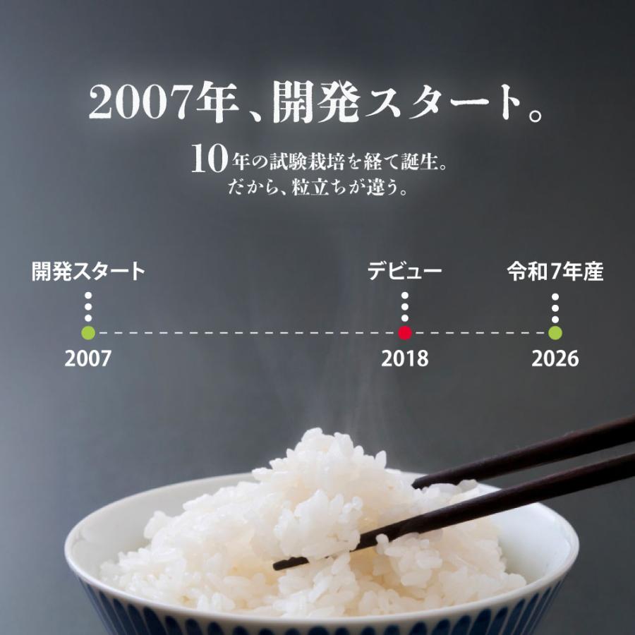 令和7年産 お米 20kg 山形県産 雪若丸 白米 米 送料無料 10kg×2袋 : 丸