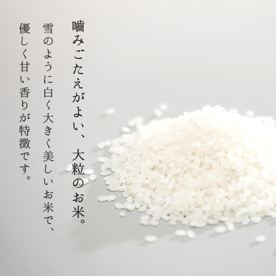 米 10kg お米 雪若丸 白米 山形県産 送料無料 5kg×2袋 新米 令和5年｜ebisumurayama｜05