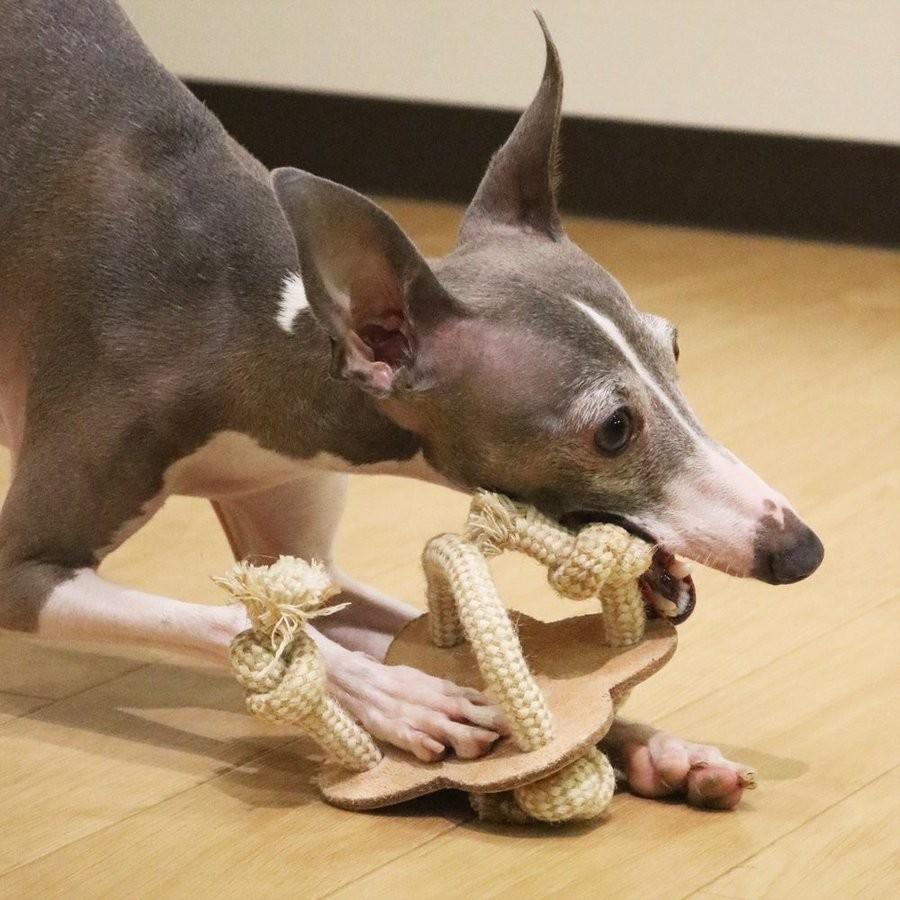 ドギーマン 犬用おもちゃ 牛革タフトイ ブーメラン G エビスペット 通販 Yahoo ショッピング