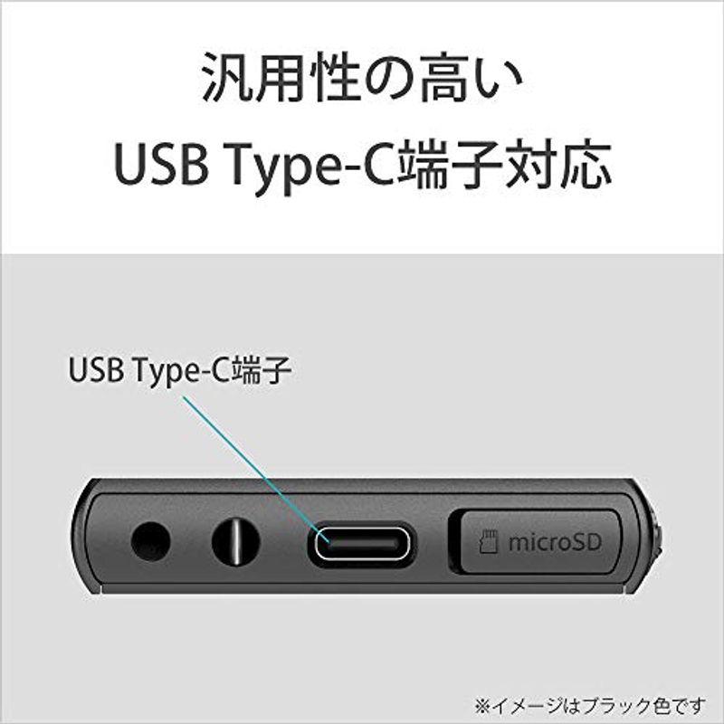 ソニー ウォークマン 32GB Aシリーズ NW-A106 : ハイレゾ対応 / MP3プレーヤー / bluetooth / androi｜ebisuya-food｜18