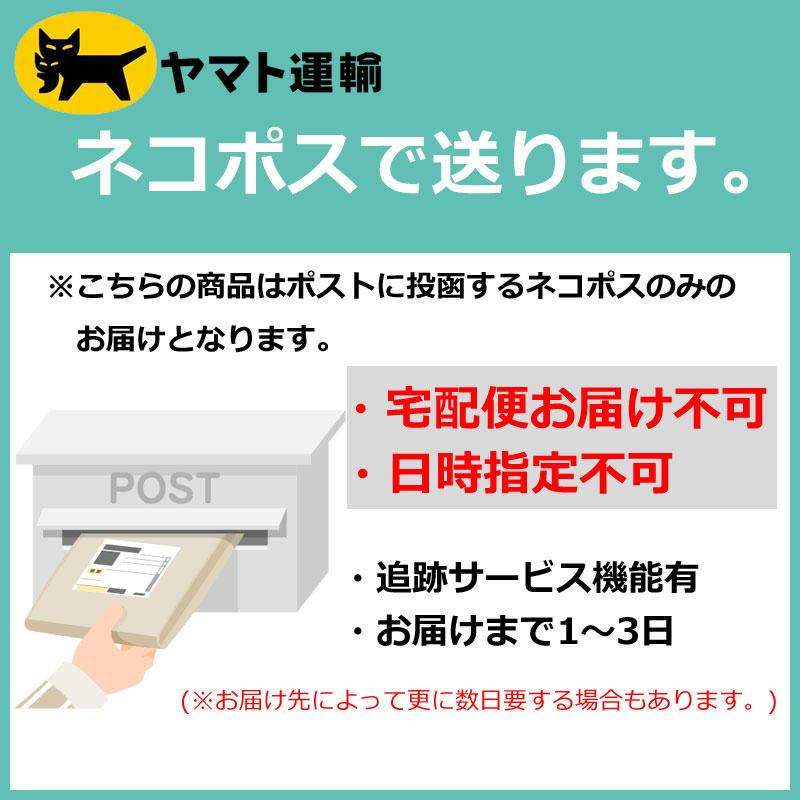 ケーブイプラス ゴム保護チップ クロスカントリー XC スキー ポール用