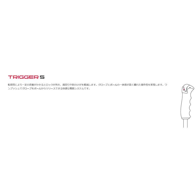 LEKI（レキ） レキスキーポール DETECT S VARIO 伸縮式ストック