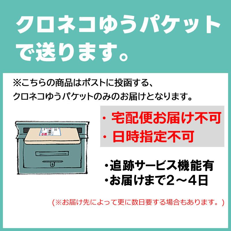 ジーアールエヌ ドリップペーパーバッグ コーヒーフィルター ケース 収納  アウトドア キャンプ バーベキュー 登山 釣り GO9430F grn outdoor アウトドアギア｜ebisuya-sp｜14