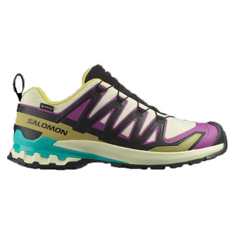 SALOMON（サロモン） XA PRO 3D V9 GORE-TEX ゴアテックス メンズ