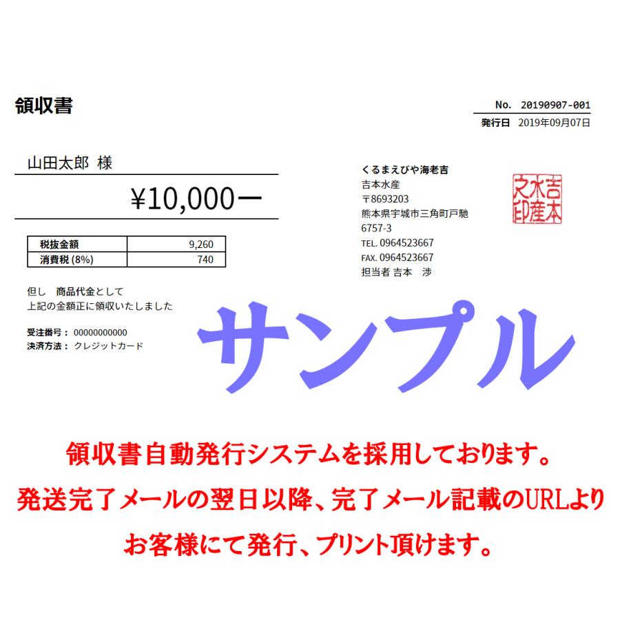 【一級品厳選】活き 車海老 1kg (33-45尾) 熊本県産 生きたまま 水揚げ当日発送！ 鮮度抜群の車エビ |  | 14