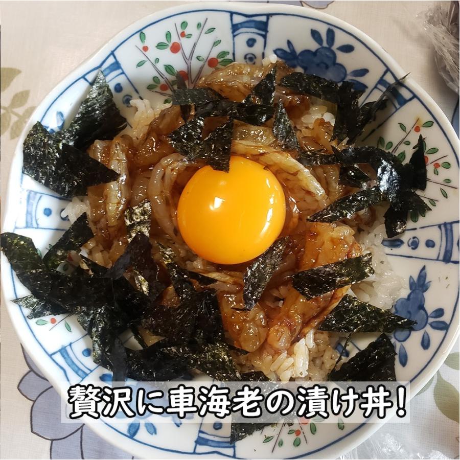 【一級品厳選】活き 車海老750g (25-34尾) 熊本県産 生きたまま 水揚げ当日発送！ 鮮度抜群の車エビ |  | 08