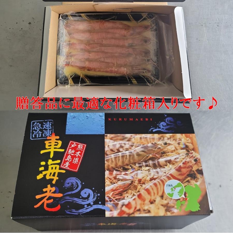 車海老の味噌漬け 250g 8〜14尾 中〜大サイズ   250g×1パック  一級品の車海老のみを素材に使用！ |  | 05