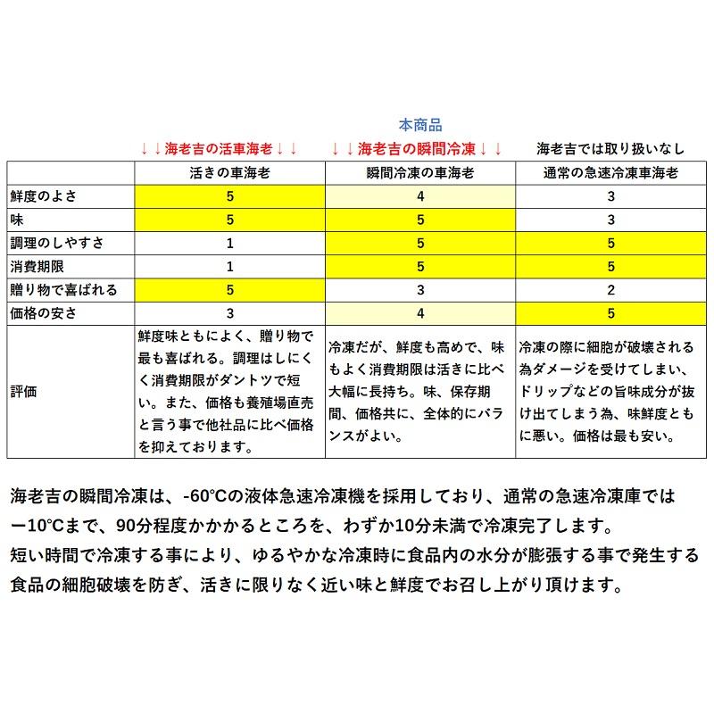 熊本県産 車海老 瞬間冷凍 750g 大サイズ 18〜24尾  採れたて 即時瞬間冷凍で鮮度抜群！ 贈り物 贈答 誕生日 さしみ エビフライ 敬老の日 お歳暮 |  | 05