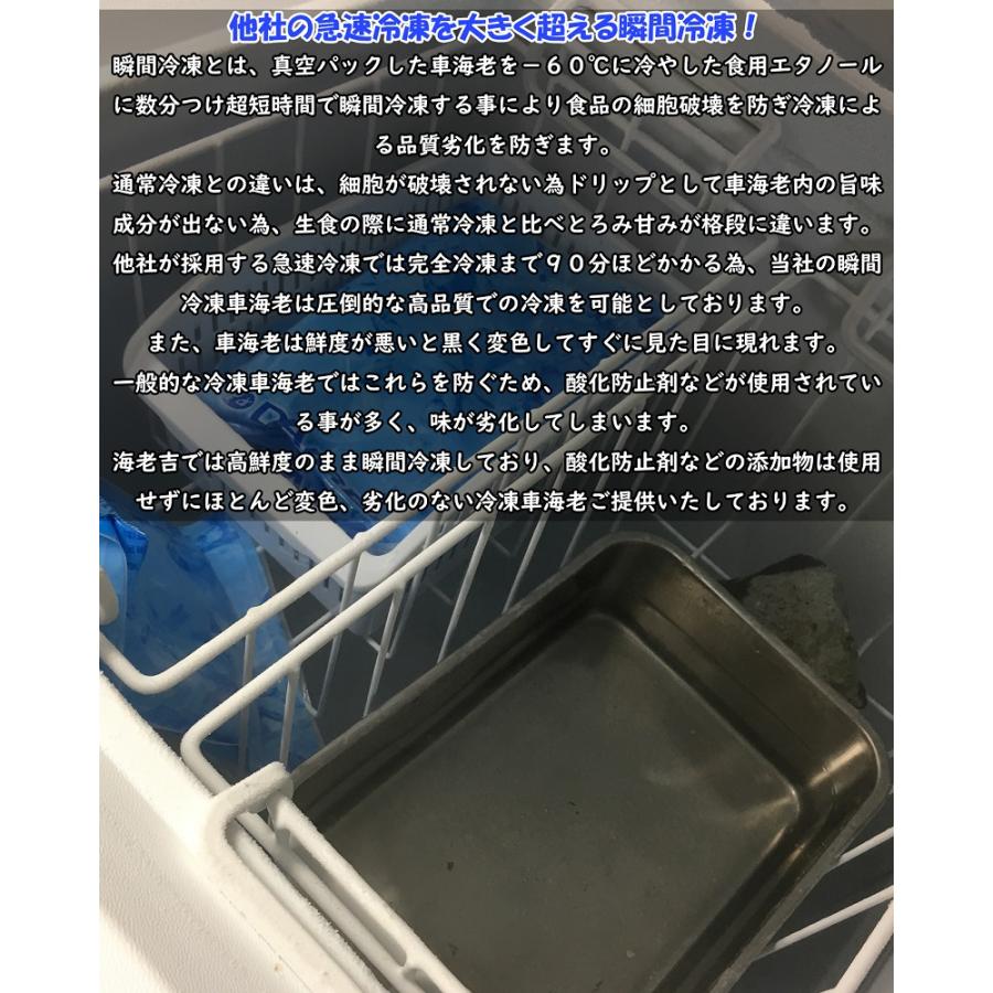 熊本県産 車海老 750g 瞬間冷凍 27〜33尾 採れたて 即時瞬間冷凍で鮮度抜群！ 贈り物 贈答 誕生日 プレゼント さしみ エビフライ 敬老の日 お歳暮 |  | 03