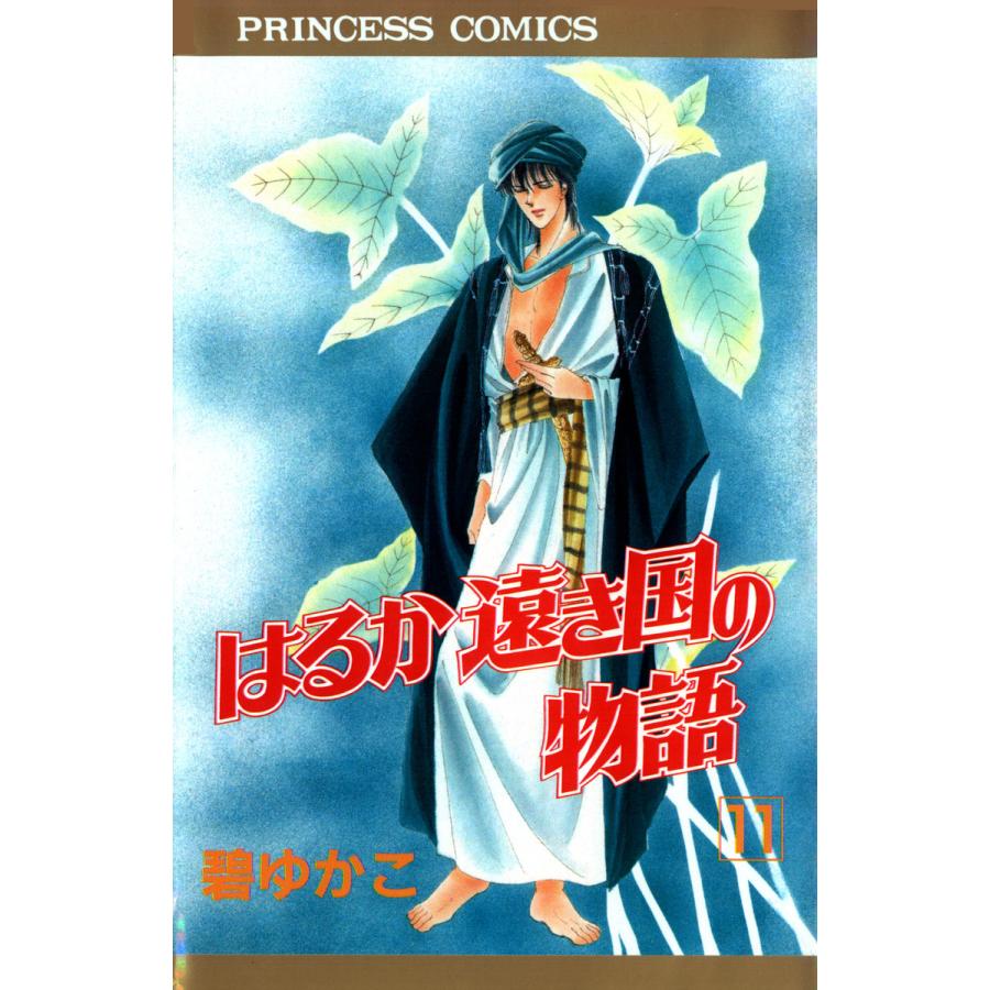 はるか遠き国の物語 (11) 電子書籍版 / 碧ゆかこ | 