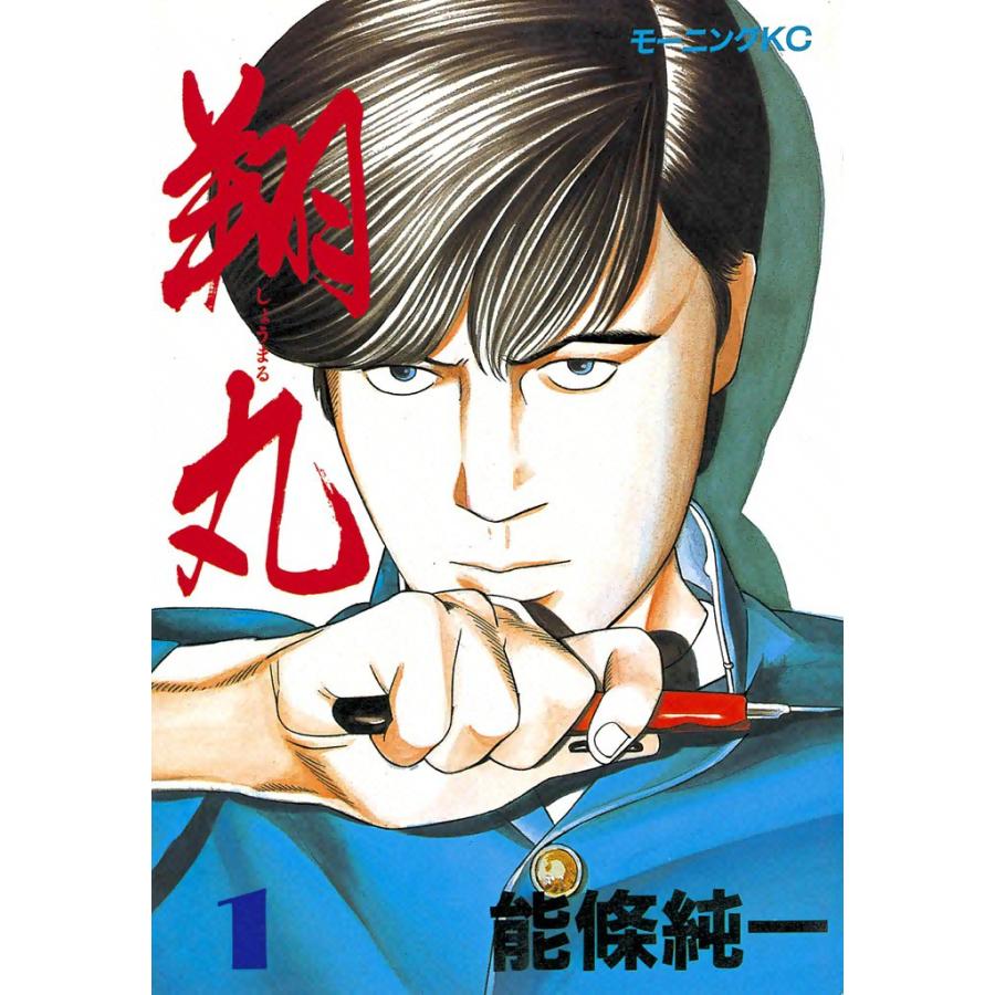 翔丸 (1) 電子書籍版  能條純一 : b00060014167 : ebookjapan ヤフー店 - 通販 - Yahoo!ショッピング