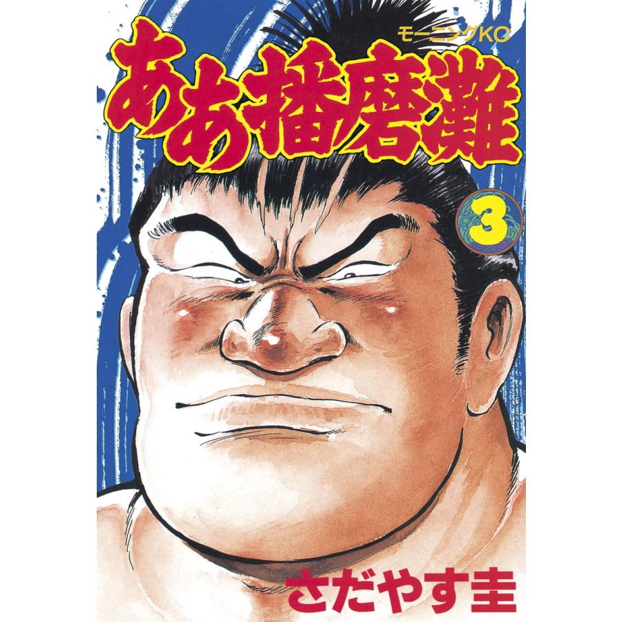 ああ播磨灘 (3) 電子書籍版 / さだやす 圭 | 