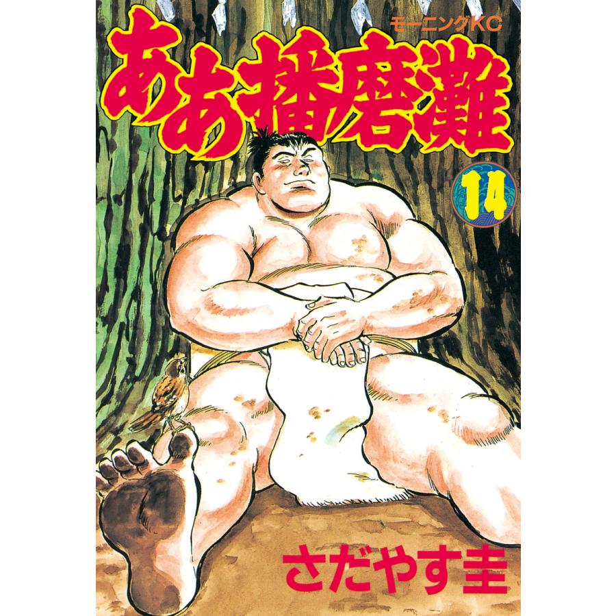 ああ播磨灘 (14) 電子書籍版 / さだやす 圭 | 