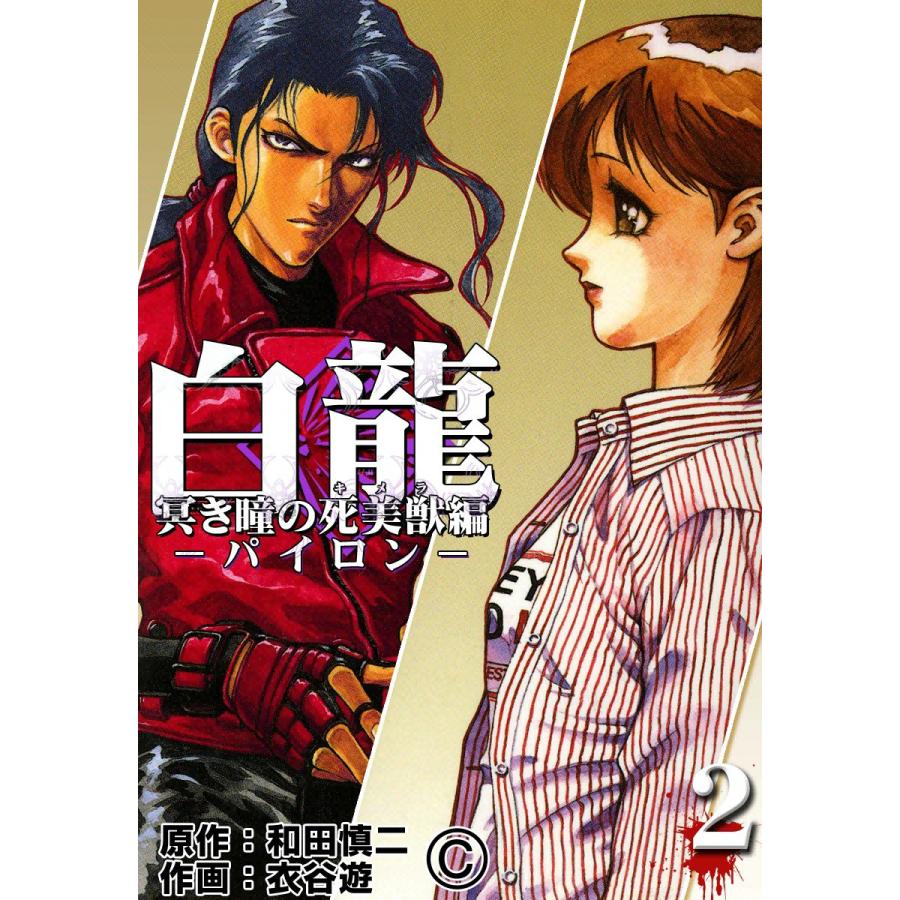 白龍パイロン (2) 冥き瞳の死美獣(キメラ)編 電子書籍版 / 原作:和田慎二 作画:衣谷遊 | 