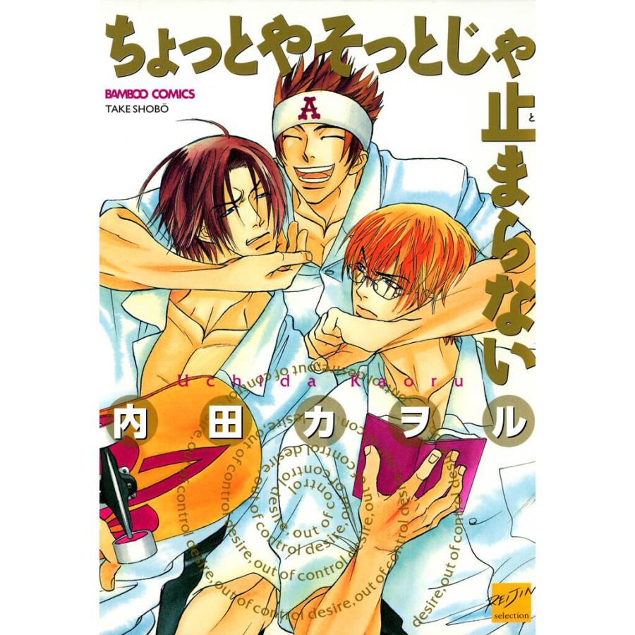 ちょっとやそっとじゃ止まらない 電子書籍版 / 著:内田カヲル | 