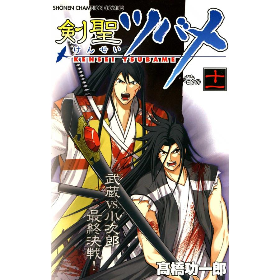 剣聖ツバメ (11) 電子書籍版 / 高橋功一郎 | 