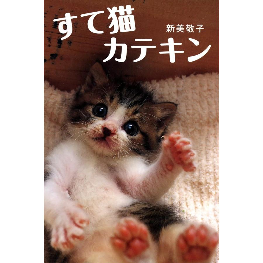 すて猫 カテキン 電子書籍版 / 新美敬子 | 