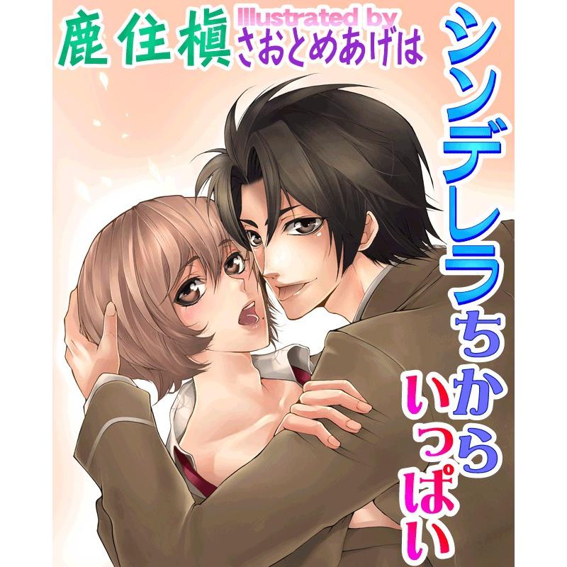シンデレラちからいっぱい 電子書籍版 / 鹿住槇 | 