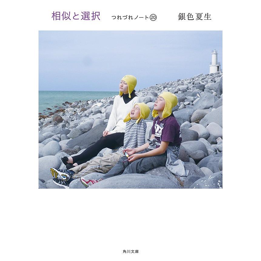 相似と選択 つれづれノート(20) 電子書籍版 / 著者:銀色夏生 | 