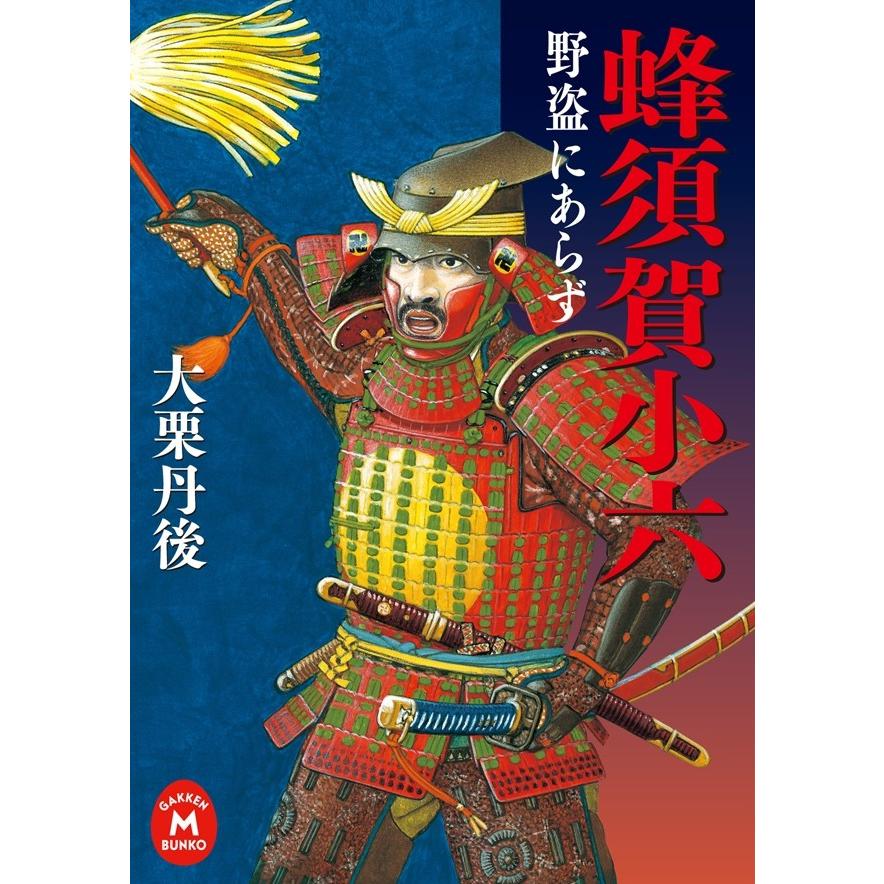蜂須賀小六 野盗にあらず 電子書籍版 / 大栗丹後 | 