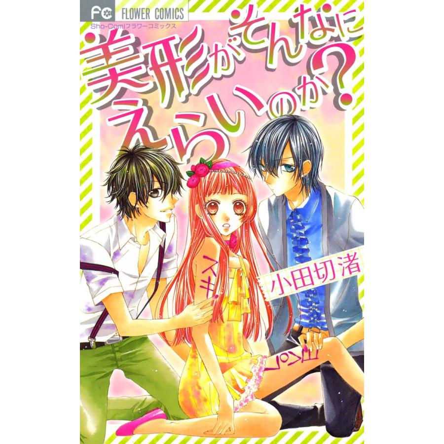 美形がそんなにえらいのか? 電子書籍版 / 小田切渚 | 