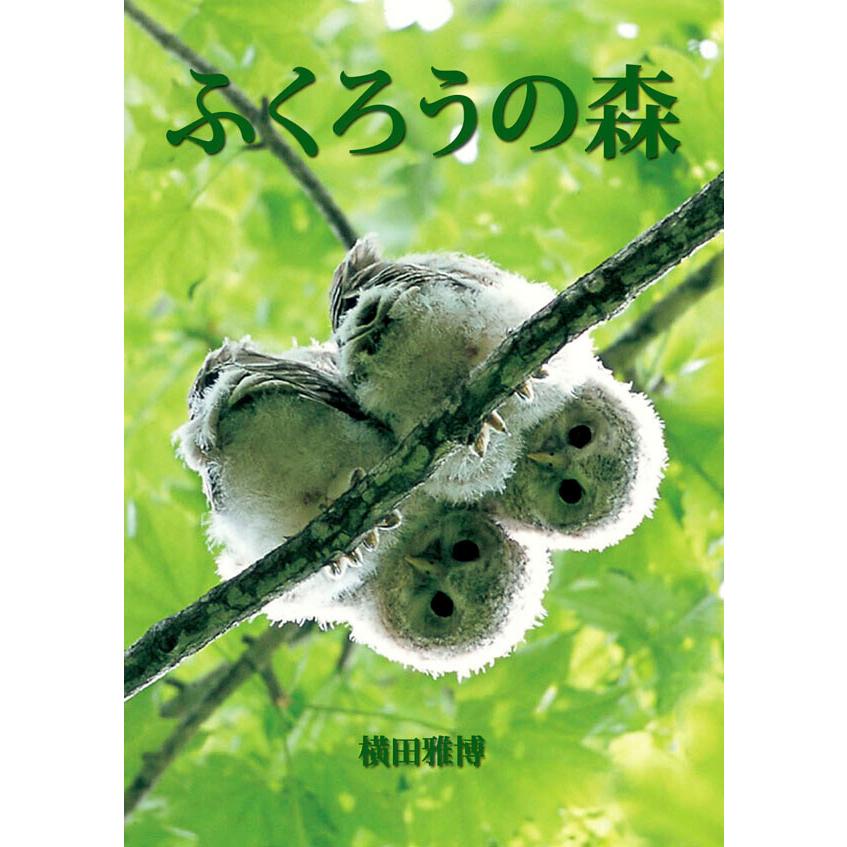 ふくろうの森 電子書籍版 / 撮影:横田雅博｜ebookjapan