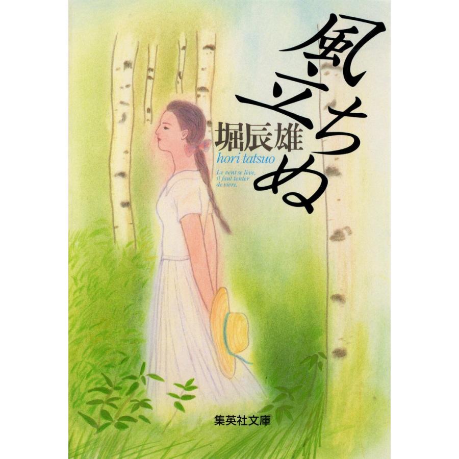 風立ちぬ 電子書籍版 / 堀 辰雄 | 