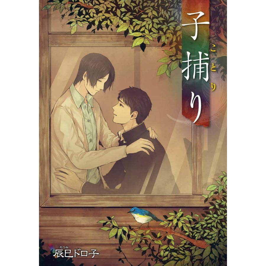 子捕り 電子書籍版 / 辰巳ドロ子 | 