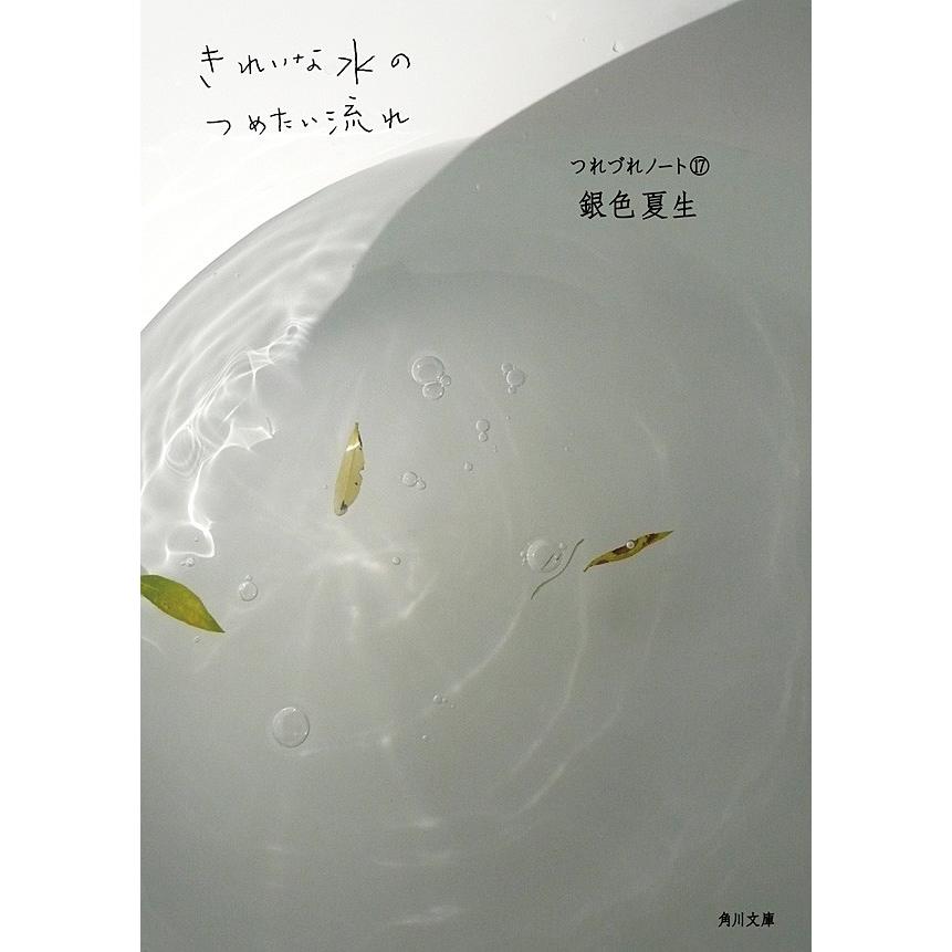 きれいな水のつめたい流れ つれづれノート(17) 電子書籍版 / 著者:銀色夏生 | 