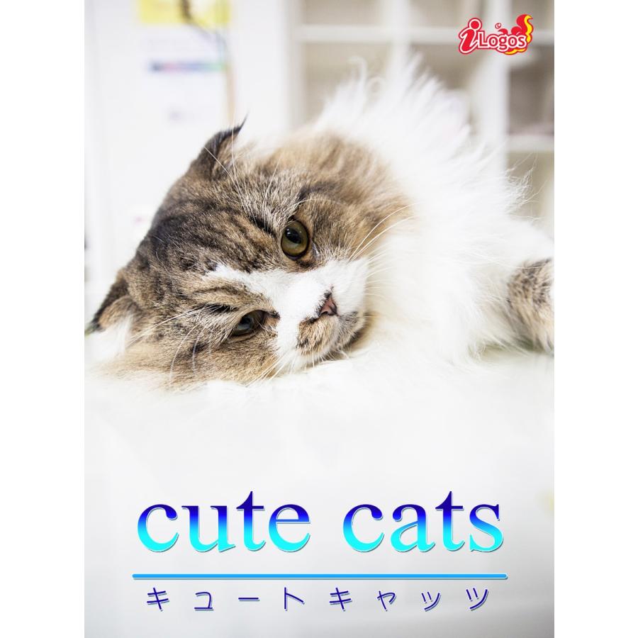 cute cats06 マンチカン 電子書籍版 / 編集:アキバ書房｜ebookjapan