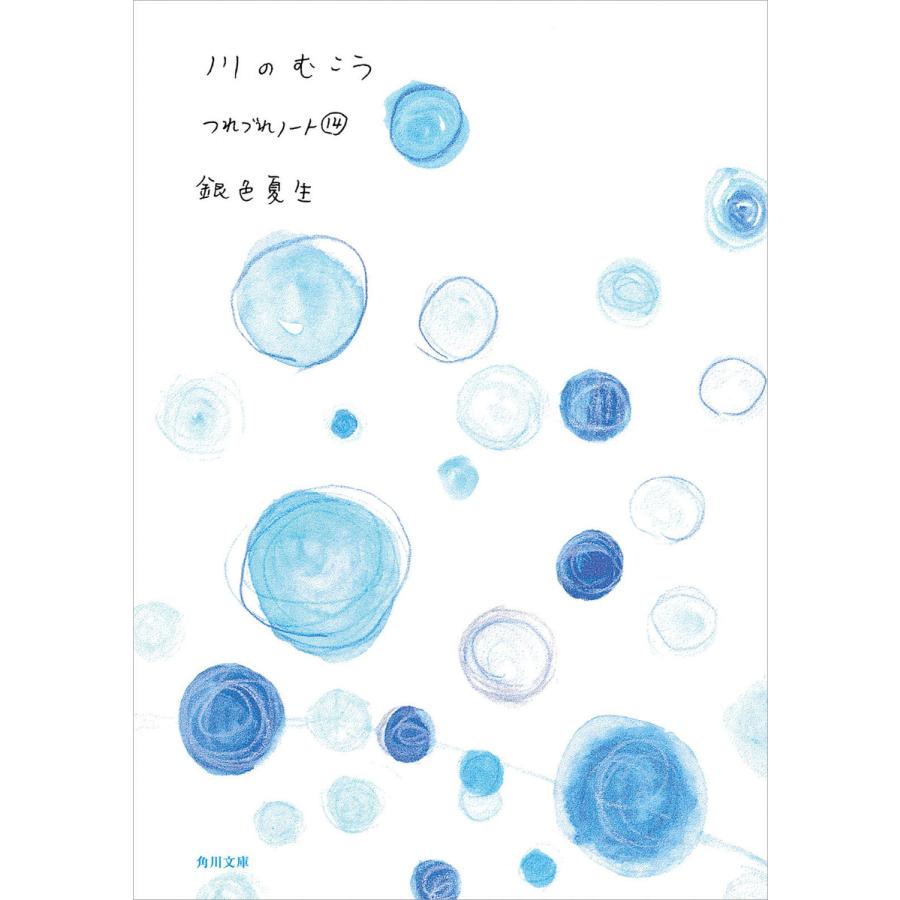 川のむこう つれづれノート(14) 電子書籍版 / 著者:銀色夏生 | 