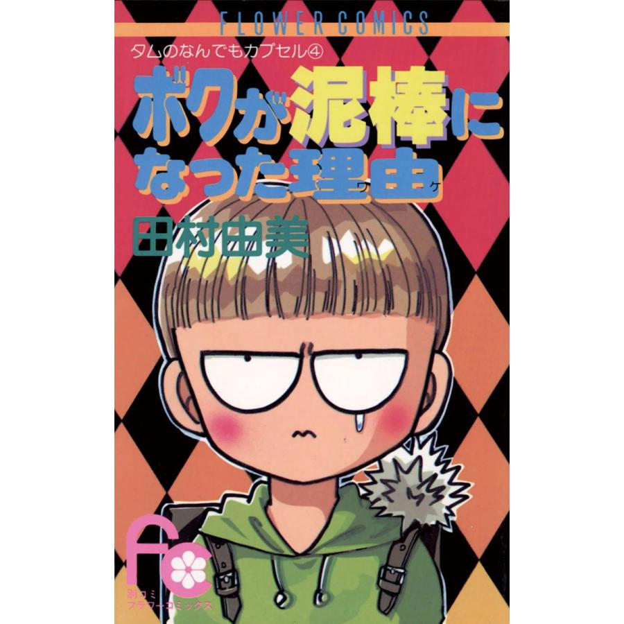 ボクが泥棒になった理由(ワケ) 電子書籍版 / 田村由美 | 