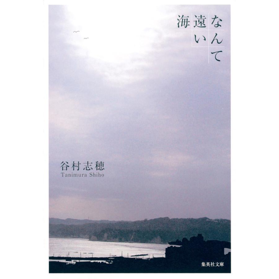 なんて遠い海 電子書籍版 / 谷村志穂｜ebookjapan