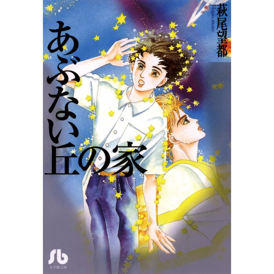初回50 Offクーポン あぶない丘の家 電子書籍版 萩尾望都 B Ebookjapan 通販 Yahoo ショッピング